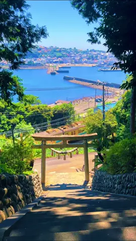 Shizuoka / 静岡 Anime-like scenery in Shizuoka😁🌴🌊 Please follow 👉@japan_walker_    Please Share 🥰🙏✨ Please follow 👉 My TikTok account  Please Subscribe 👉 My YouTube channel #japan #japantravel  #japantrip #anime　#shizuoka         