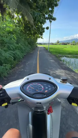 วิวสวยๆกับ อุปกรณ์เสริม#เวฟ125 #เวฟดิวะ💯 #เวฟทั้งใจ❤️💨 #สายรัดหน้าอกสําหรับมือถือ #ฟีดดดシ 