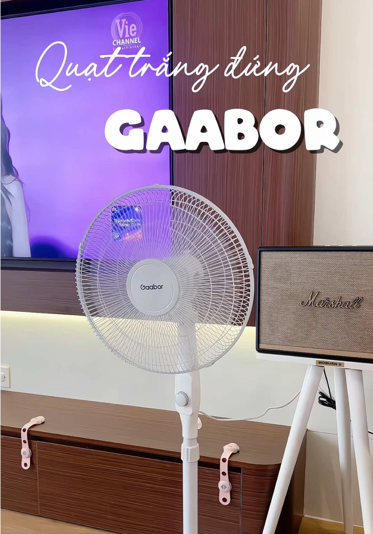 Mua được em này là thấy tiêu tiền đúng cách rồi nghen #gaabor #quatdunggaabor #quatcay #dodunggiadinh #quatgaabor 