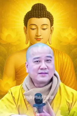 Chỉ mong thấy được lỗi mình ,không mong thấy được lỗi của người. A Di Đà Phật🙏🙇#phatphapnhiemmau #phatphap #xuhuongtiktokk #vụnvỡ #LearnOnTikTok 