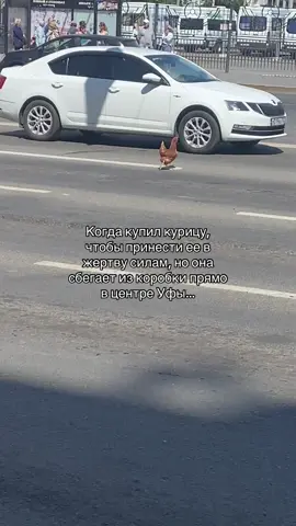 РАСКЛАДЫ/РИТУАЛЫ В ТГК ЭЗОКОВЕН #рекомендации #вичток #магия 