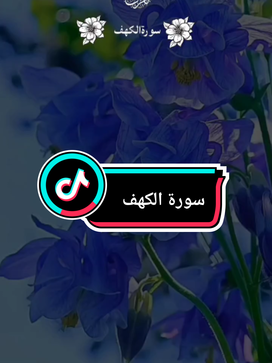 #المال_والبنون_زينة_الحياة_الدنيا #سورة_الكهف #عامر_الكاظمي #الله #قران_كريم 