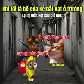Khi tôi là bố của những kẻ bắt nạt ở trường #meme #catmeme 