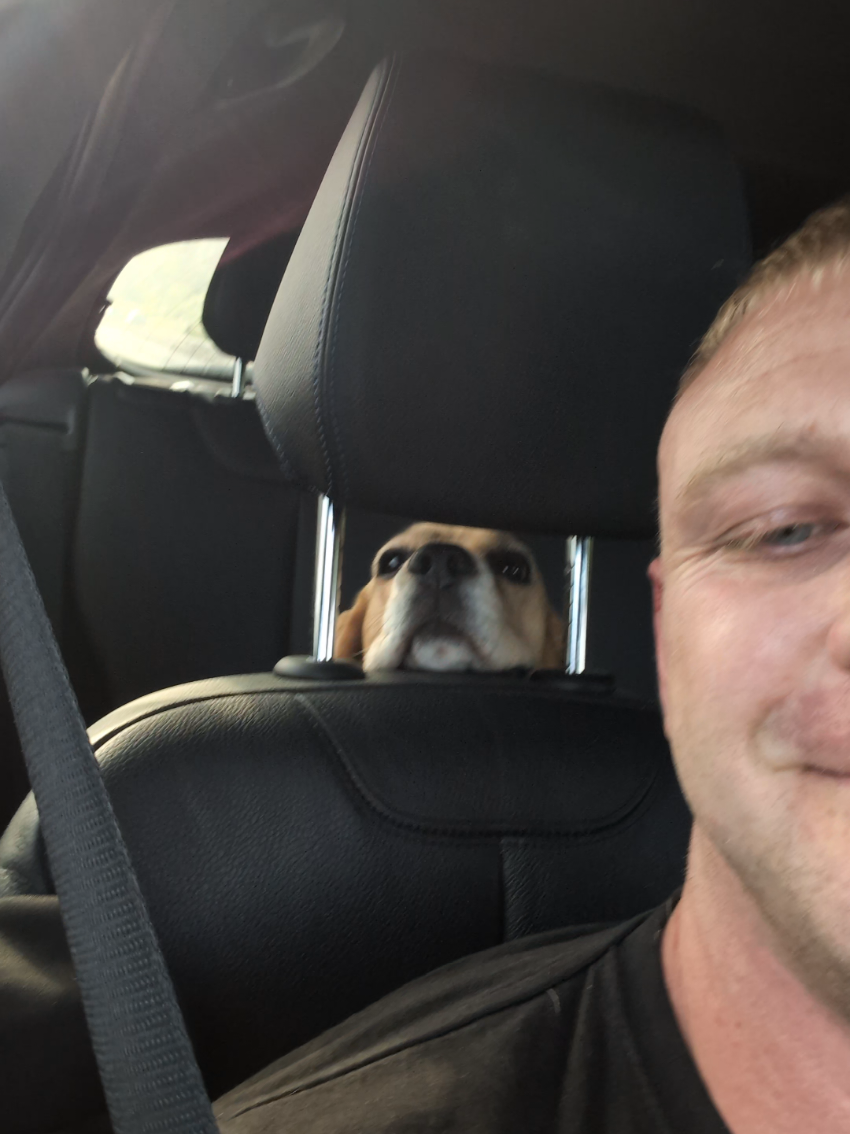 #Love #friend #beagle #darling #travel #sweet #foryou 