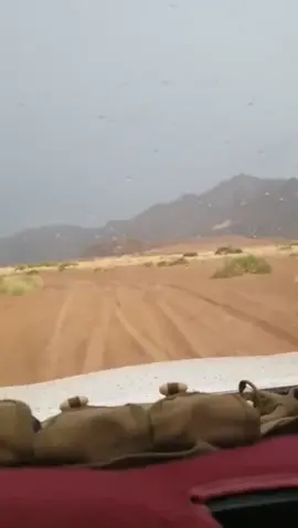 والله يسقي ديارة بالمطر والسيل.. #وادي_منوى_المصعبين_604 #ابوعسكر🎼🎤_مارب_صنعاء_الجوف_شبوة_البيضاء #ابوعسكرsjjol⭕️✔️🇾🇪✌ #ابو_عسكر🎼🎶 #اكسبلورexplore #explorepage 