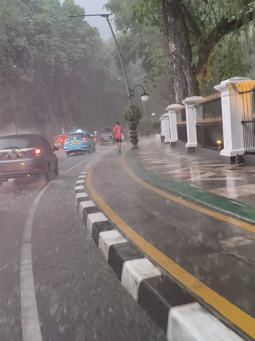 syegar sekali🥶🥶 #istanabogor #kebunrayabogor #bogorraincity🌨 #bogorsorehari  #bogorvibes 