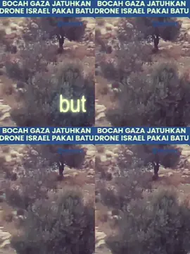 #palestine🇵🇸 