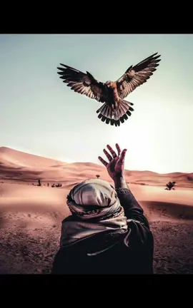 #CapCut #رائد_الحسين #🏴 #🏴🏴🏴 