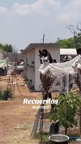 #Recuerdos 