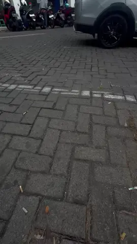 wong lio ngerti opo #fypシ #tokuteginou🇲🇨🇯🇵 #khensuseijapan🇲🇨🇯🇵 #jftbasic #kulijapan🇯🇵 #kaplanedupac #fyppppppppppppppppppppppp 