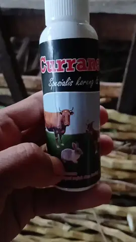 spesialis kurap koreng kurap #ternak #kambing #sapi 