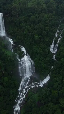 ม่านน้ำกลางป่าใหญ่ “น้ำตกตาดขมึบ”  📸 @Nee Manivong  #โบลาเวนลาวใต้ #ที่ราบสูงโบลาเวน #น้ําตกตาดขมึบลาวใต้ #mustgotheretour #มัสโกแดร์ทำทัวร์โบลาเวน #mustgothere #มัสท์โกแดร์ #ต้องไปดูต้องไปเห็น #ม่วนทัวร์ #น้ําตกตาดขมึบ 
