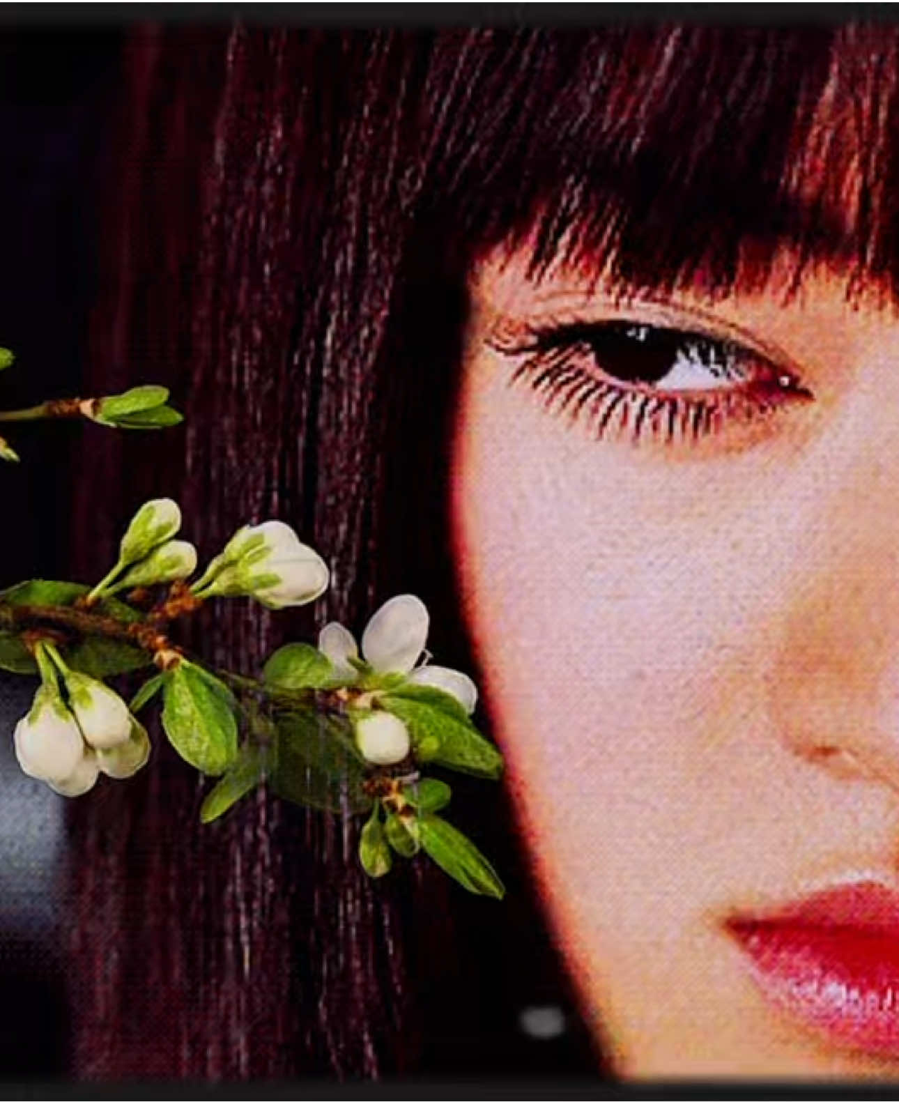 #gogoyubari #chiakikuriyama #killbill #moodboard #aesthetic #edit #japan #targetaudience 