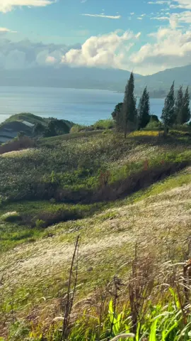 POV : Ketika Berkedudu Menemukan Tempat Tersuruk di Alahan Panjang anti mainstream 🌲🍃 📍Puncak Ilalang Syahdu Alahan Panjang 🎥 @anggacihuyyy  #alahanpanjang #hiddengems #sumbar #sumbarrancak #rancakbana #canduraun #exploresumbar