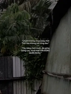 Gừng cay, muối mặn xin đừng quên nhau #xuhuong 