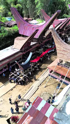 Rambu Solo Nene Anto (Almh. Martha Sulle) #toraja #torajasulawesiselatan #torajanese #torajamaelo #torajahits #torajasulawesiselatan📍🖤 #sulawesi #wonderfulindonesia #torajatiktok #sulawesiselatan #wonderfulplaces #culture #budaya 