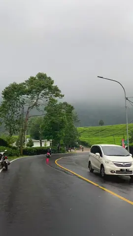 Puncak Bogor Berkabut🍃 #puncakbogor #puncakpass #bogorhits 