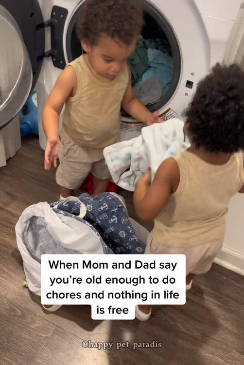 The healing laughter of twin babies#foryou #tiktok  #Love #baby #pet#ladbible #funnyvideos #wholesome #babiesoftiktok #puppies #babyandpuppy#fyp #foryou