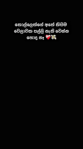 අද මෙහෙම සල්ලි අතගාන්නේ Crypto Trading නිසා 💵😍 #fyp #viral #trending #cryptotrading #tradingsuccess #trader #crypto #kaventra #kaveensandeepa💞💫💥 