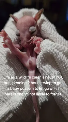 #wildlife #neveradullmoment 