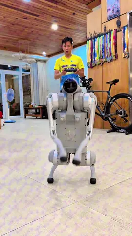 Robot dog #vietnam #bachlacan #buivanngo #buivanngocoffee #unitreego2 #airobot #hochiminhcity #Lifestyle #ironmanchallenge #triathlon #xuhuongtiktok  #ai #robot #robotics