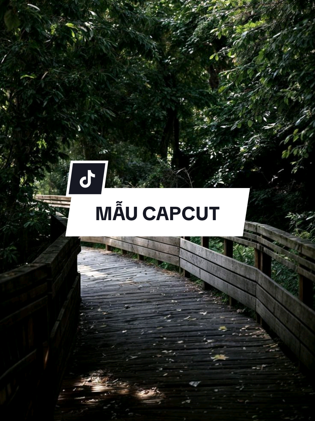 #CapCut Bài Nì Cuốn | BÔNG HOA ĐẸP NHẤT #nhachaymoingay#xh #viral #