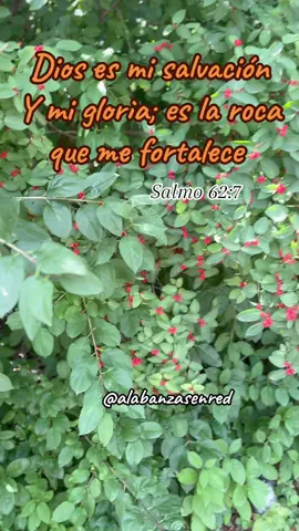 Dios es mi salvación y mi gloria; es la roca que me fortalece #adoracionadios🥺❤️ #alabanzas #alababanzascristianas #alabanzasenred😍 