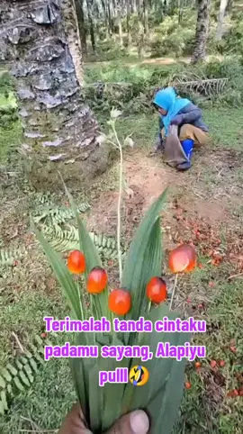 Di Romantisin kok marah🤦🤣🤣#fypシ #tiktokvirall#hiburanpetani💃
