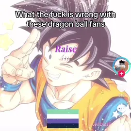 I added the pictures cuz literally wth💔 #dragonballz #dragonballsuper #fanbase #cringefandom #fandom #weirdfandom #goku #vegeta #funny #relatable #fypp #trend #hakaicc 