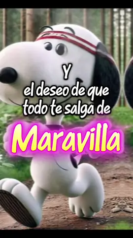 #bendecidodia #Amigos #lindodia #rosadabus #CapCut @Charito Db @Maria Angelica Necul 