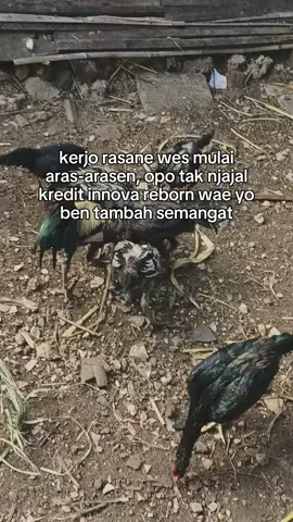 blas ra enek semangate 😌#CapCut #fypppppp #tiktokviral 