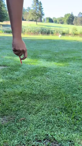 These red tees don’t miss. Clean contact every time.🏌🏻Zario Tees - Power & Precision.  #foryourpage #golf #plastictees #tees #golflife          