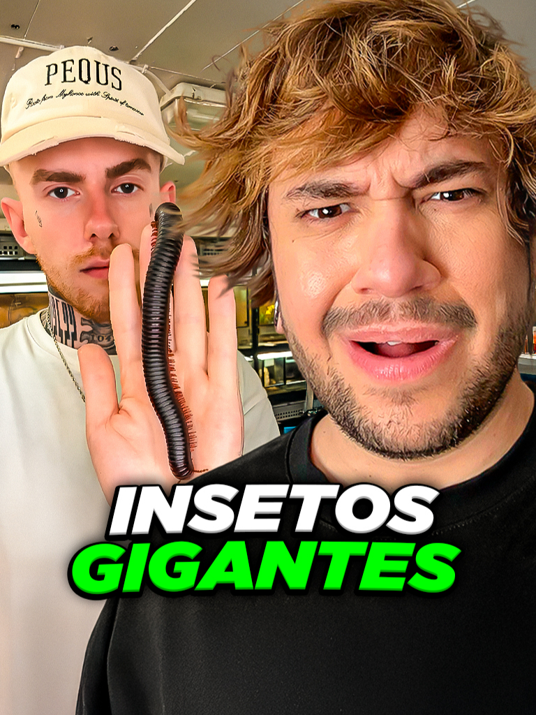 insetos gigantes @insecthaus_adi #livedobrino #humor