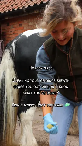 Not sure how to clean your horses sheath, what products to use, how often or does the thought just completely gross you out?  Well you’ve stumbled across the right account 🤭 The less glamorous side of horse care but equally as important 🫘🧼✅🐴  🎥 @capturedbyloz   #equinesheathcleaning #horsecaretips #equineindustry #sheathclean #horsehygiene 