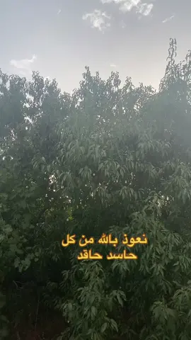 #الحسد #الحقد #الحمدالله_علی_کل_حال❤ #اكسبلور #viraltiktok #اكسبلورexplore #الشعب_الصيني_ماله_حل😂😂 