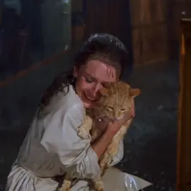 girls and their cats >⩊< #fyp #foryou #foryoupage #weirdlymagical 