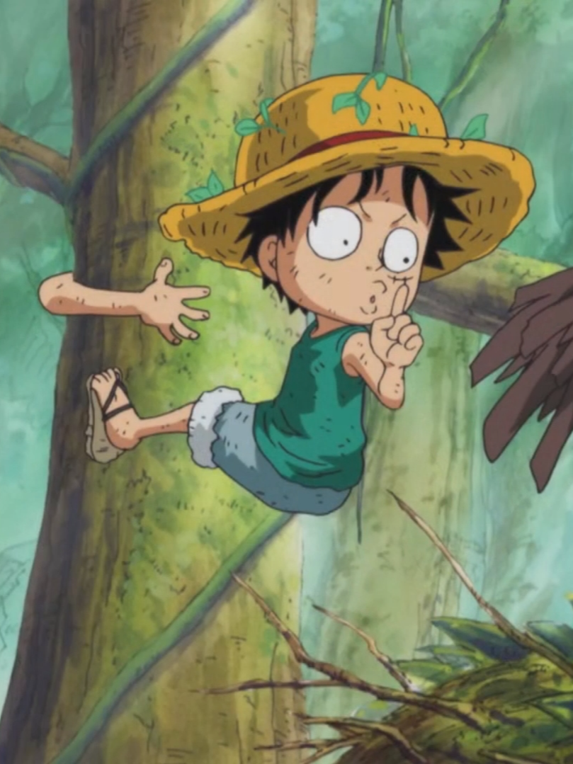 One Piece Kid Luffy Edit Pt. 2 - Stereo Love #onepieceedit #luffyedit #onepiece #luffy #ace #sabo #animeedit #amv #onepiecefunny #luffyfunnymoments #anime