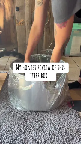#stainlesssteellitterbox #litterbox #catmusthaves #cat #catsoftiktok #CapCut 