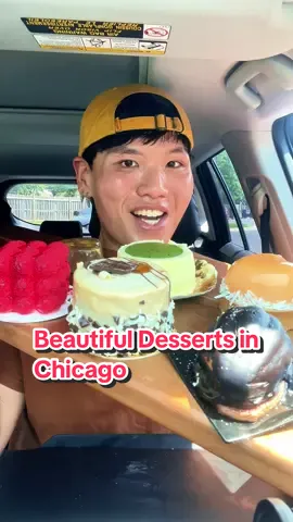 Found Another Beautiful Desserts in Chicago!! (Suburbs)  📍 @Mataricoffeeco 8800 Gross Point Rd, Skokie, IL 60077 #beautifuldesserts #desserts #pastries #chicagofood #fypシ゚viral #mukbang #foodtiktok #foodasmr #Foodie #foodreview #tastetest 
