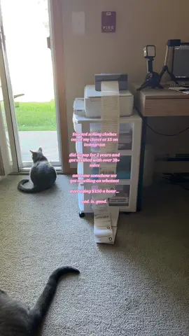 Making my dreams come true no matter what🧚🏼‍♀️  #y2kclothes #whatnot #business #fyp 