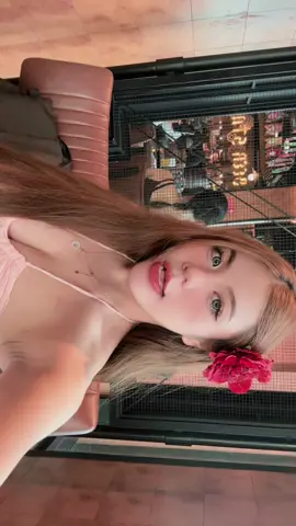 🎶💕