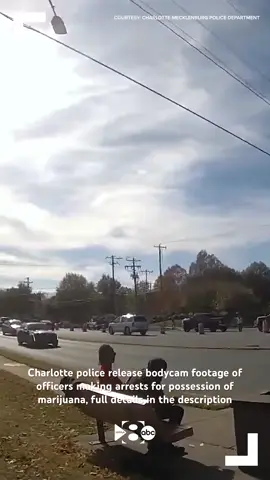 Charlotte police release bodycam footage of officers making arrests for possession of marijuana#dog #pets#Police #policeoftiktok #cops #copstiktok #fyp