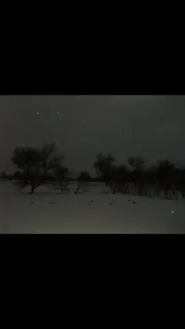 #poisontree #song #foryoupage #darkvibes #bosques #goth... 