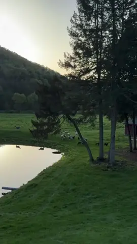 #سبحان_الله_وبحمده_سبحان_الله_العظيم #فاطمة_الحريري 