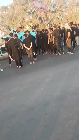 دك مشجرات مضاهرات  #الكوت #واسط 🔥🔥 #لايك_متابعه_اكسبلور  #الشعب_الصيني_ماله_حل😂 