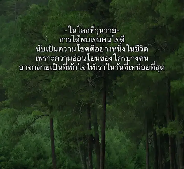 อย่าปล่อยมือฉัน#ความรุ้สึก #พระจันทร์ของมิเกล #รักที่ปลอดภัย🥰 #