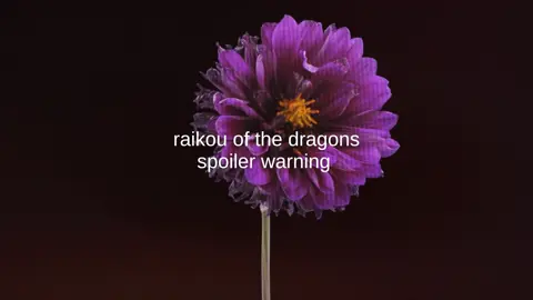 (EDIT : can we stop saying to make this into a real anime pls- the whole point of the joke was to be a fake anime and catch posse anime fans.  ALSO. why r so many of you so pressed about an online joke- 😭 you ppl need to go outside sometimes) #RAIKOUOFTHEDRAGONS || ts was rushed im sorry if it’s bad 😓 {Tags: #fyp #rotd #edit #anime 