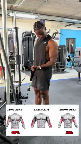 Bicep curl on cable machine #fitnessmotivation #creatorsearchinsights #fypusa #bodybuilding #creatorrewardprogram #fyp #workouttips 
