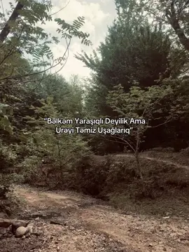 🖤 #mirzayewh⚡️ #Love #qlobal #fyp 