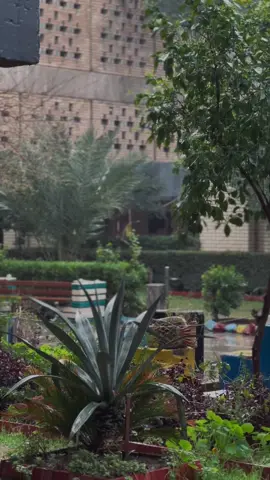 اجواء المُستنصرية بالشتاء 🩷🫧🌧️ #اكسبلور #CapCut  #الشعب_الصيني_ماله_حل😂😂  #viral  #بغداد #الجامعة_المستنصرية 